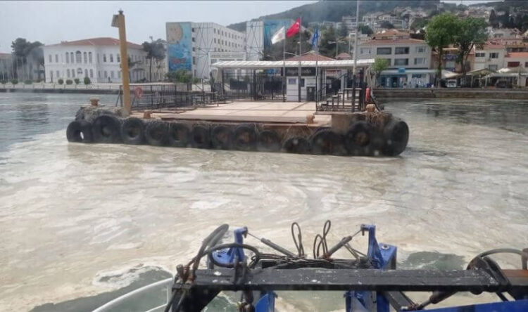 Korkulan oluyor: Müsilaj nedeniyle Kırmızı mercan yatakları ölmeye başladı