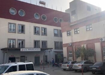 Tavşanlarını öldüren kediyi vurmak isterken, amcasının oğlunu vurdu