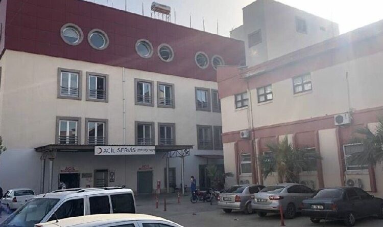 Tavşanlarını öldüren kediyi vurmak isterken, amcasının oğlunu vurdu