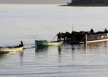 Covid-19’un uğramadığı tek yer: “Virüsün buraya gelmesi zor”