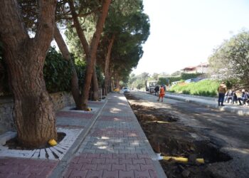 Kartal Belediyesi, yarım asırlık ağaçlara ‘nefes borusu’ ile can veriyor