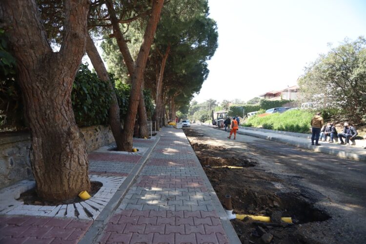 Kartal Belediyesi, yarım asırlık ağaçlara ‘nefes borusu’ ile can veriyor