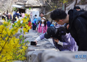 Çin’de Qingming Bayramı’nın ilk gününde 51 milyondan fazla seyahat