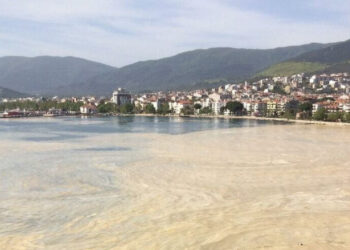 Marmara Denizi’nde deniz salyası kabusu