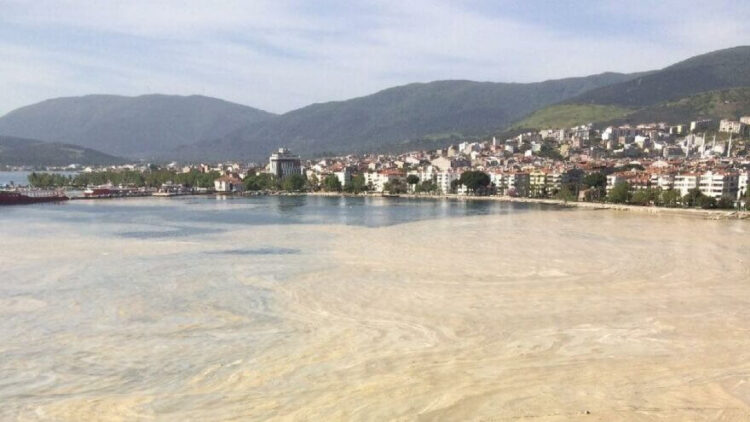 Marmara Denizi’nde deniz salyası kabusu