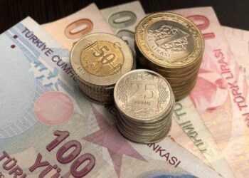 Destek için başvurdu, hesabında 4 lira görünce şoke oldu