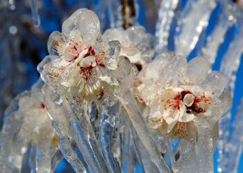 Meteorolojiden 5 ile uyarı: Hava sıcaklığı sıfırın altına düşecek