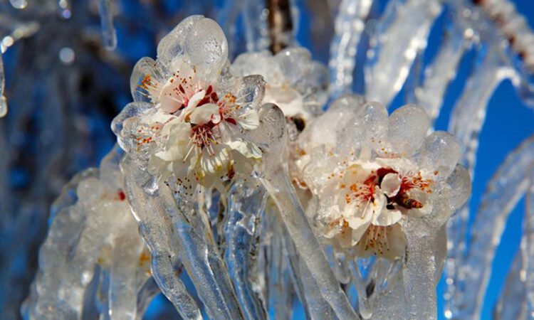 Meteorolojiden 5 ile uyarı: Hava sıcaklığı sıfırın altına düşecek