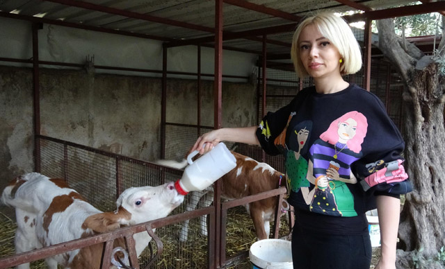 Spikerliği bıraktı çiftlik kurup hayvancılığa başladı