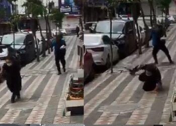 Sultangazi’de kargalar böyle saldırdı