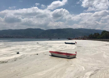 Uzmanı uyardı: Hava sıcaklığı müsilajı da artıracak