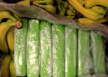 Muz kolilerinden 160 kilogram kokain çıktı