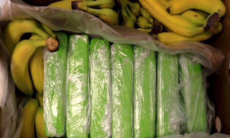 Muz kolilerinden 160 kilogram kokain çıktı