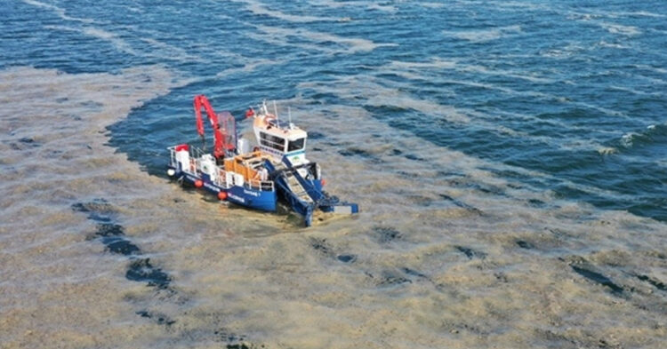 Müsilaj neden oluyor? İlk testlerin sonuçları çıktı