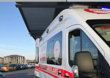İntihardan vazgeçirmeye çalıştığı kişi tarafından öldürüldü