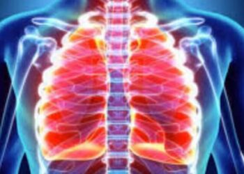 İşte akciğerleri tertemiz yapan besinler!