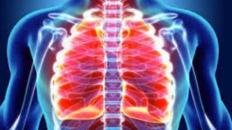 İşte akciğerleri tertemiz yapan besinler!