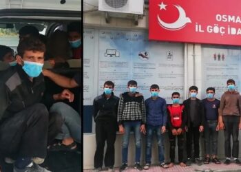 Suriyeli mültecileri köle işçi olarak çalıştırmak istediler