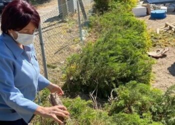 İzmir’de CHP’li belediyenin tesislerine saldırı