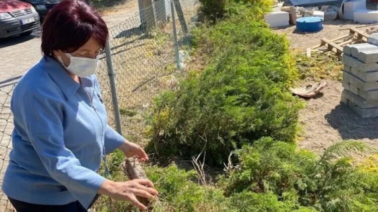 İzmir’de CHP’li belediyenin tesislerine saldırı