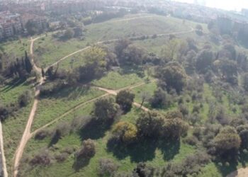 Validebağ Korusu için flaş karar! Yargı ‘dur’ dedi
