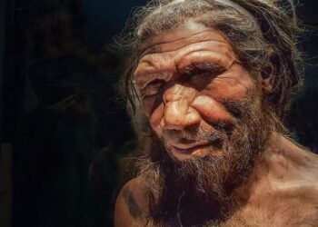 İnsana Neandertallerden daha yakın bir türe rastlandı