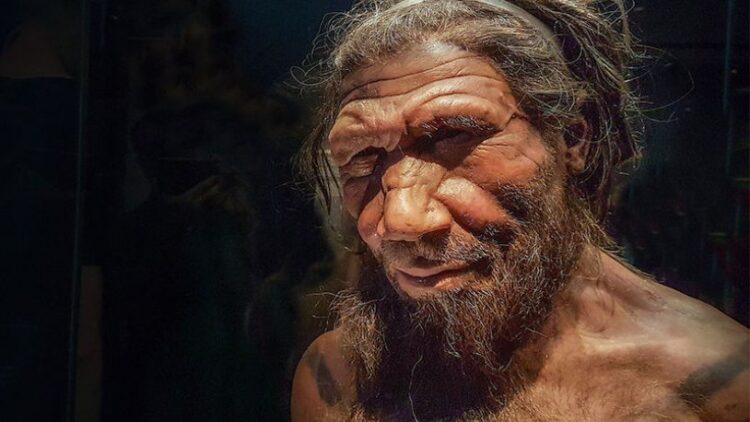 İnsana Neandertallerden daha yakın bir türe rastlandı