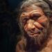 İnsana Neandertallerden daha yakın bir türe rastlandı