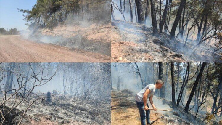 Osmaniye’de orman yangını: Evler tahliye edildi