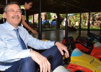 Ankapark’a dikilen ağaç ve çalı faturası dudak uçuklattı