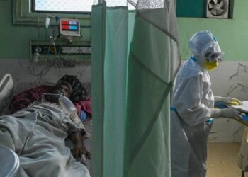 Kara mantar hastalığı Mısır’a da sıçradı