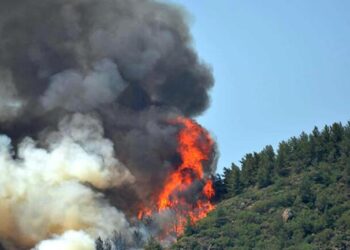 Marmaris’teki orman yangını: 1 personel şehit oldu