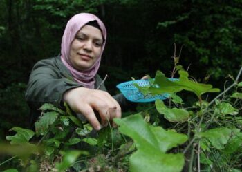 Ev hanımıydı Youtuber oldu