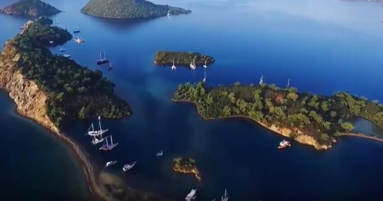 Saadet Partisi’nin ‘Çevre Günü’ videosu sosyal medyayı salladı