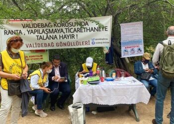 Validebağ Gönüllüleri, koru içinde nöbet eylemi başlattı