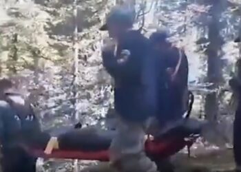 Aç kalan ayı 16 yaşındaki genci yedi