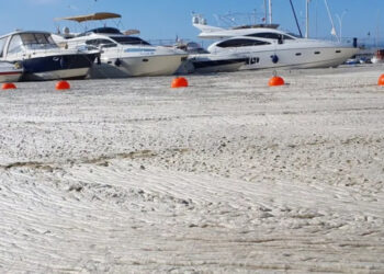 Deniz salyası git gide artıyor: Bütün marina betonla kaplı gibiydi
