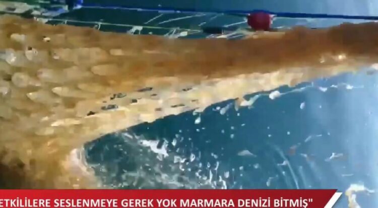 ‘Yetkililere seslenmeye gerek yok artık, Marmara Denizi bitti’