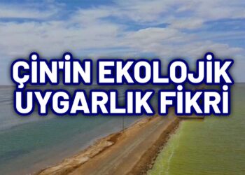 Xi Jinping : “Sadece bir Dünyamız var”