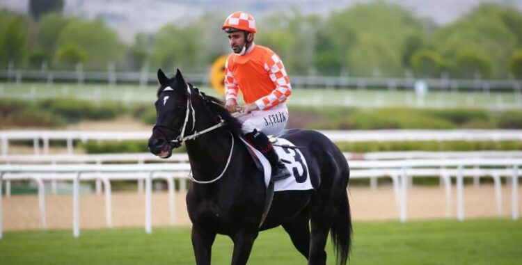 95. Gazi Koşusu’nu Burgas kazandı, Ahmet Çelik 7’de 7 yaptı!