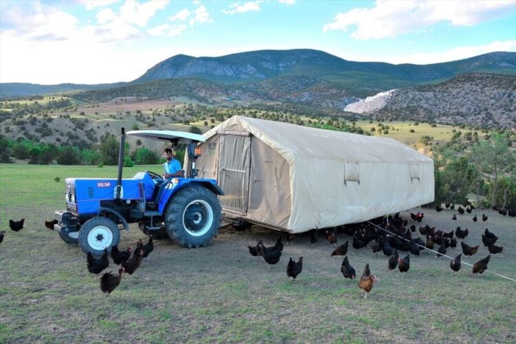 Mobil kümes: Gezen tavuk yaylaya çıktı