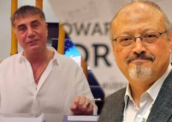 Barış Pehlivan yazdı: Peker’i durduran el