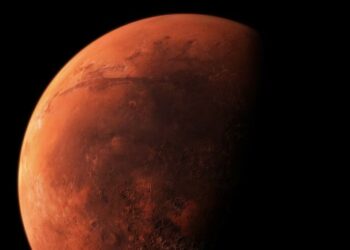 Araştırma: İnsanlar Mars’ta çoğalabilecek