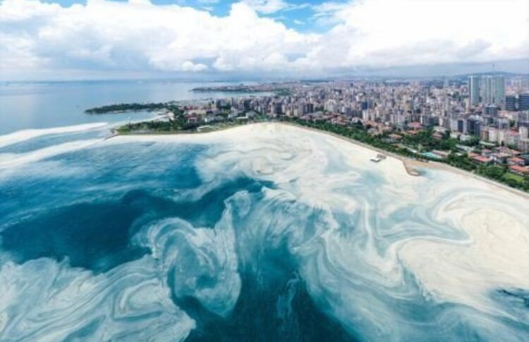 EMEP’ten müsilaja karşı acil 12 öneri