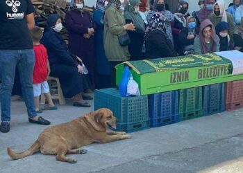 Ölen sahibinin tabutunun başından ayrılmadı