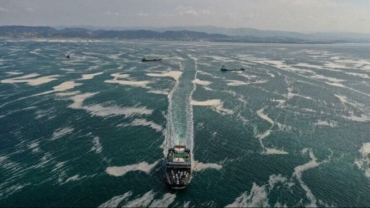 Marmara Denizi göz göre göre salyaya boğulmuş!