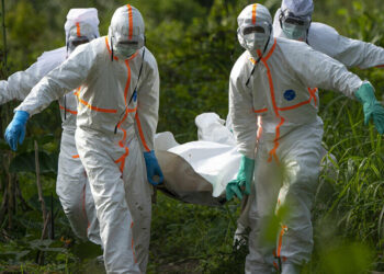 Nijerya’da kolera salgını yayılıyor: Ölü sayısı 310’a yükseldi