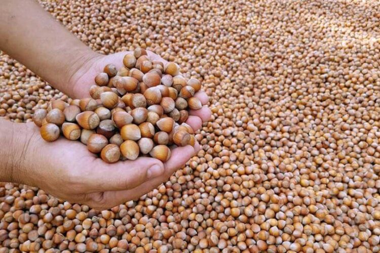 Perde arkasında oyun ortaya çıktı… Bakanlığı hangi küresel firma yönetiyor