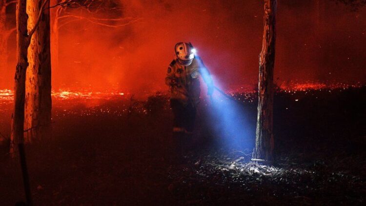 NASA’nın haritasında orman yangınları: Boyut sanılandan büyük