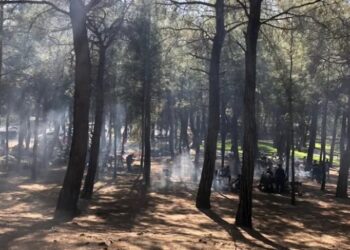 İzmir ve Balıkesir’de ormanlara girişler yasaklandı